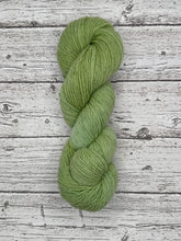 Load image into Gallery viewer, Pinon “C”- Fine Tapestry Weight Yarn- Limited Gradation Series- “Chica”
