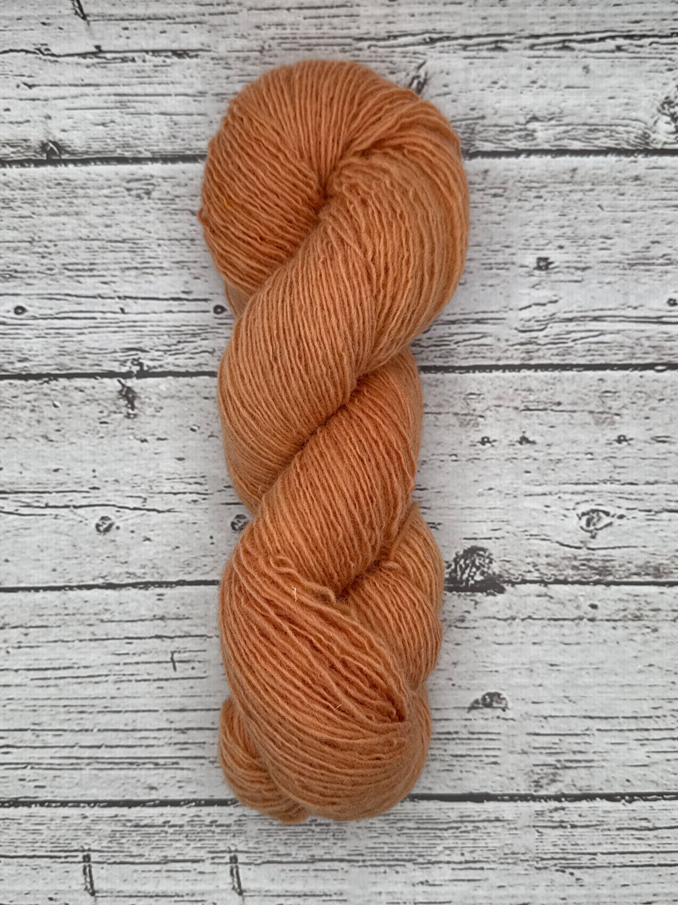 Copper “C”- Fine Tapestry Weight Yarn- Limited Gradation Series- “Chica”