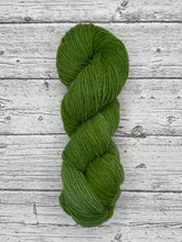 Load image into Gallery viewer, Pinon “B”- Fine Tapestry Weight Yarn- Limited Gradation Series- “Chica”
