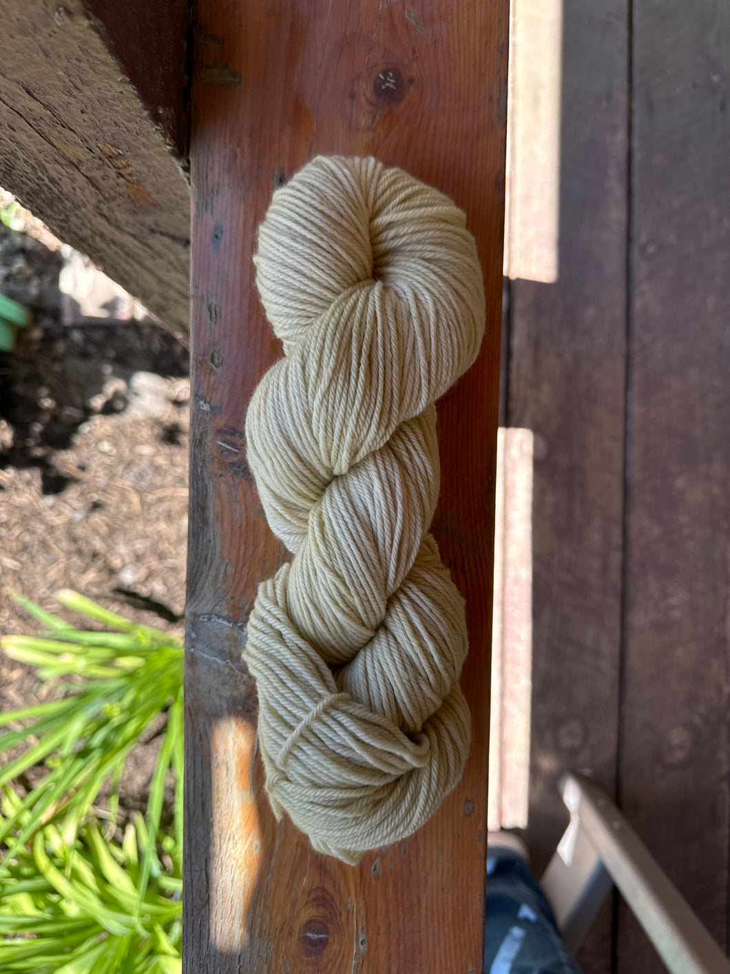 Organic Worsted NonSuperwash- Straw