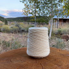 Load image into Gallery viewer, 4-ply Worsted Wool Warp
