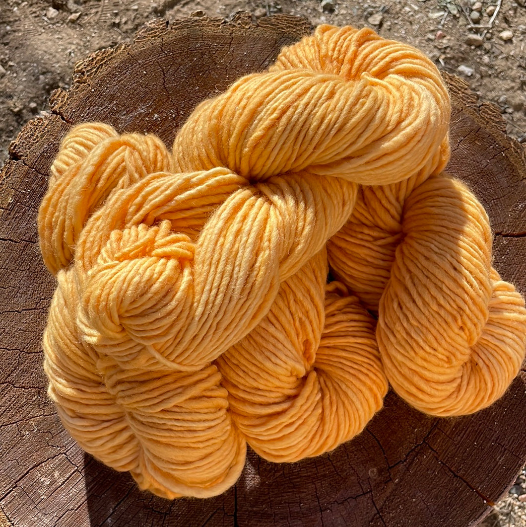 “Rio Grande” Series Rug Yarn- Banana
